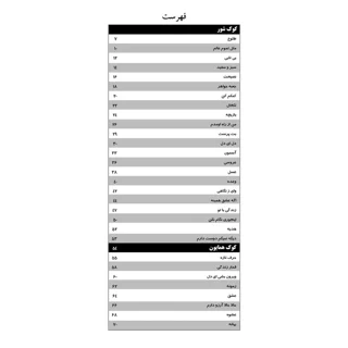 کتاب رقص سنتور اثر سامان ضرابی انتشارات پنج خط جلد چهارم 101710309